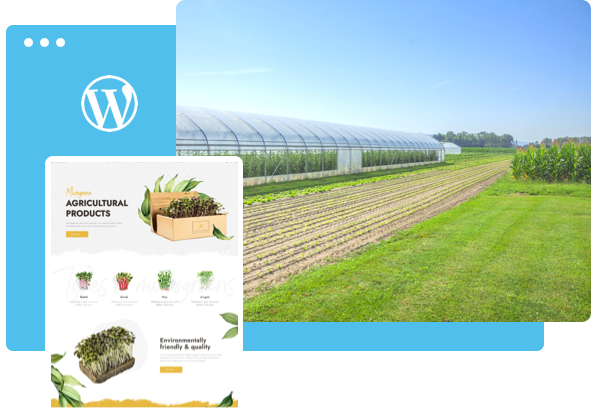 frontend